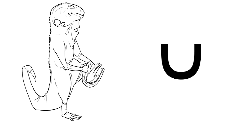 The horse shoe wouldn't fit the iguana