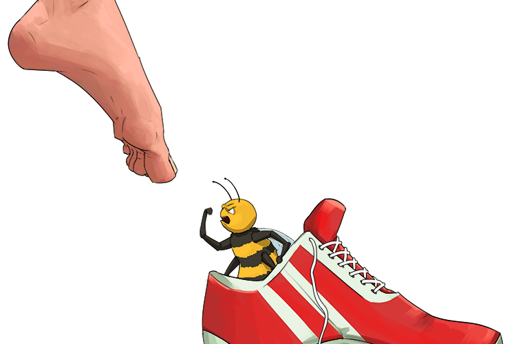 You must not put your foot in if there is a bee in your shoe (bee-shoo)