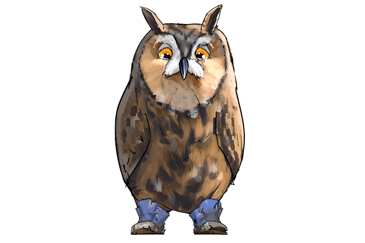 You need to buy shoes for your owl (shoo-yow)