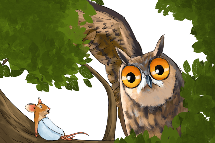 The owl, with such big eyes, found the mouse in a towel, lying (mou-tou-ying) down on a branch