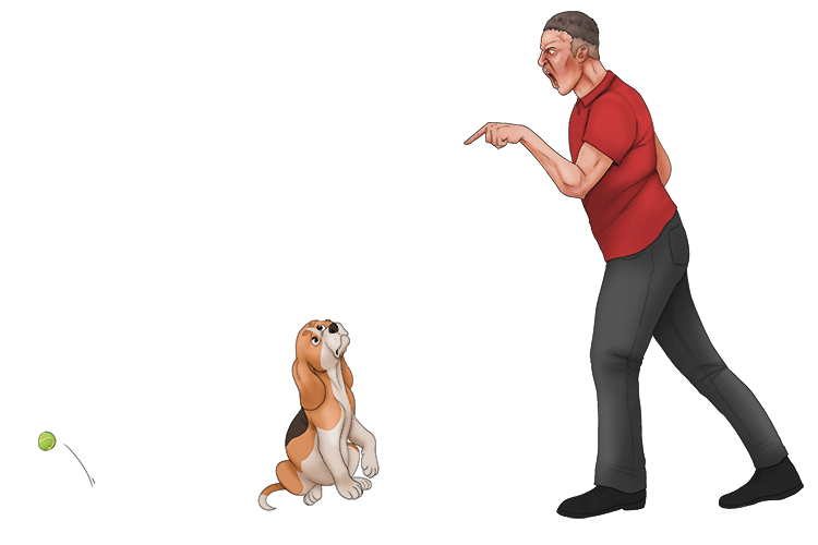 The puppy doesn't understand you even if you shout go(shou-go) and fetch".