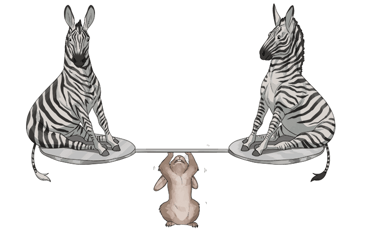 Mandarin Word – tuzi – Mammoth Memory