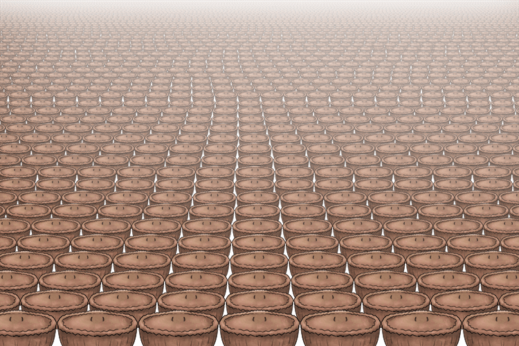 There were rows and rows of pies (pie) in the shop.