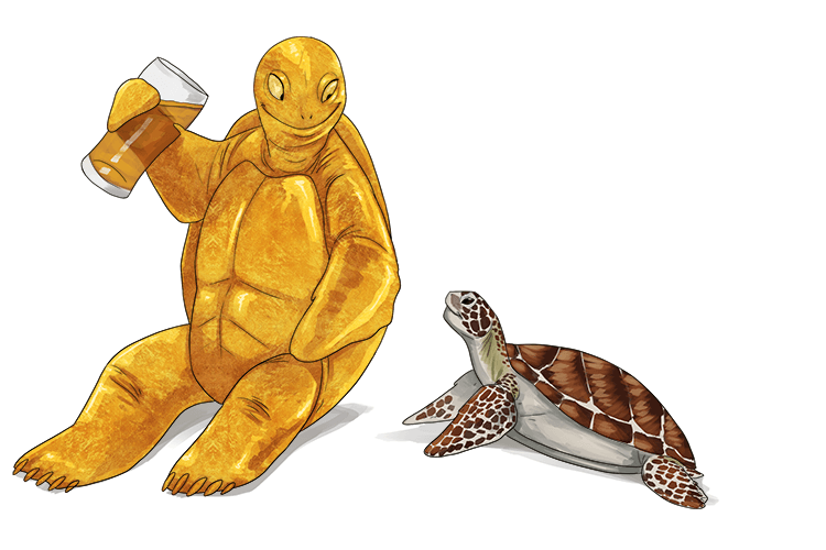 These special turtles only drink beer (tur-beer).