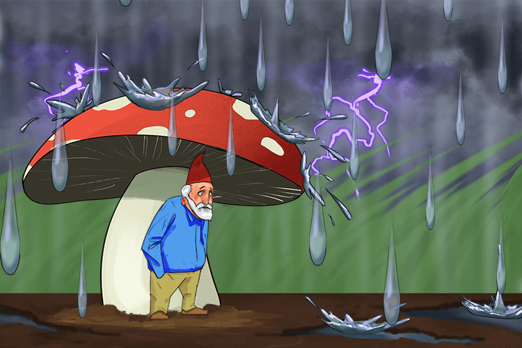 During the storm, I hid beneath the fungus while the rain bounced (fung-bou) off the top