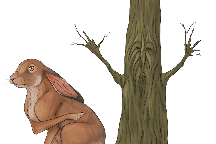 Mandarin Word nali Mammoth Memory