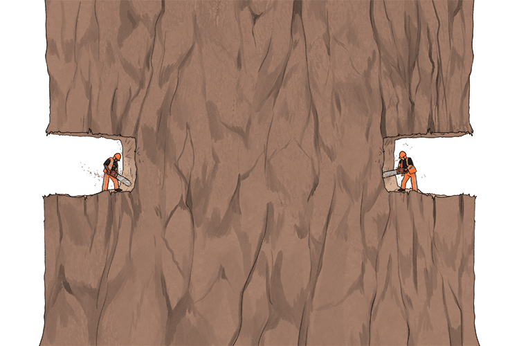 The tree is so thick we're going to need two (too) chainsaws.