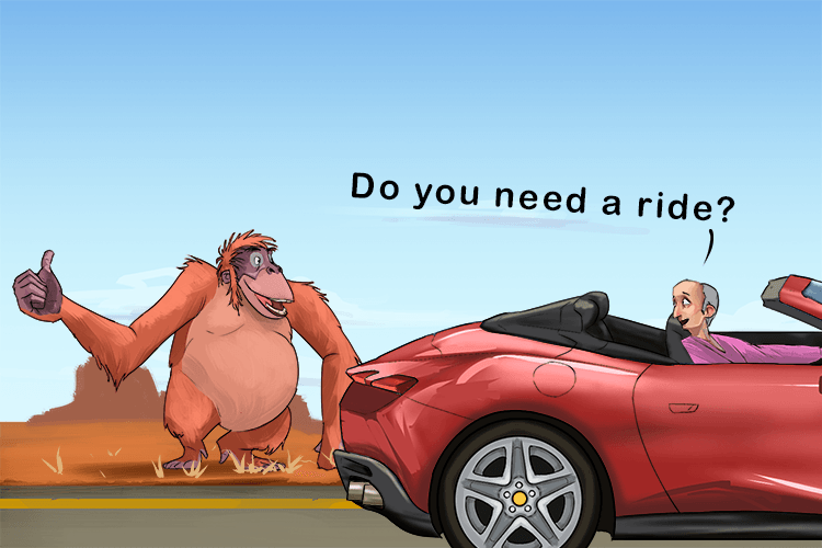 Travel with king Louie (Jungle Book) as he's hitching (loo-ee-ching) a ride