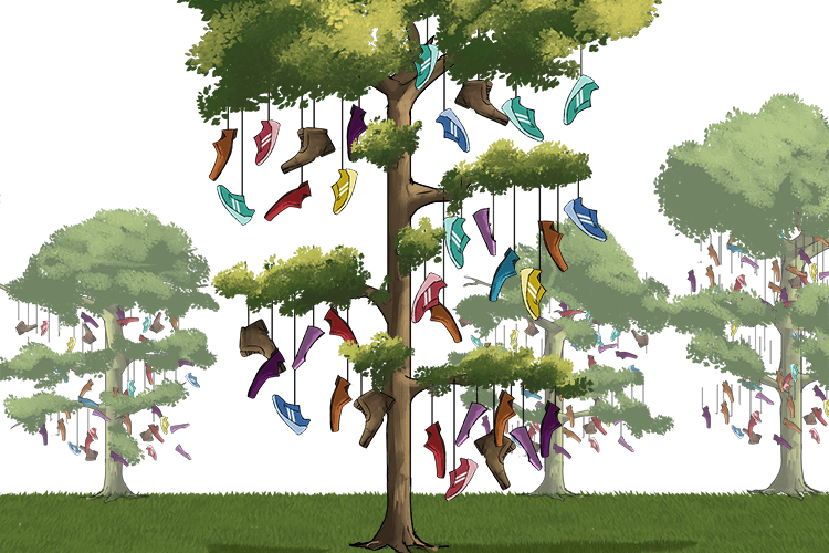 All the trees have shoes (shoo) hanging from them