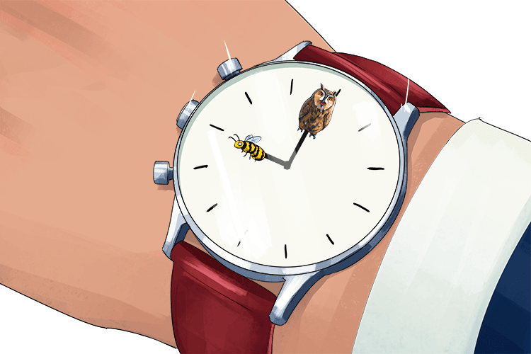 My watch shows a bee and an owl (shoh-bee-ow) on the minute and hour hands