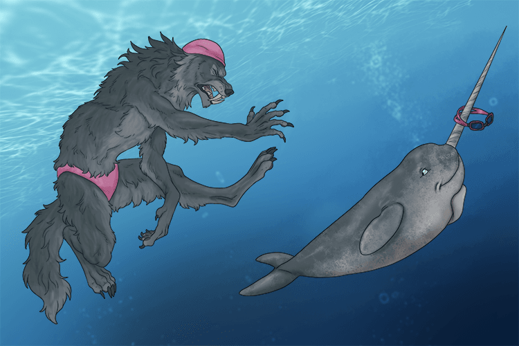 Where is that narwhal (nar) going with my goggles?