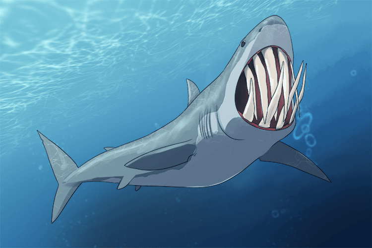 Yesterday I saw a shark and its teeth were enormous (zor-tee-en).