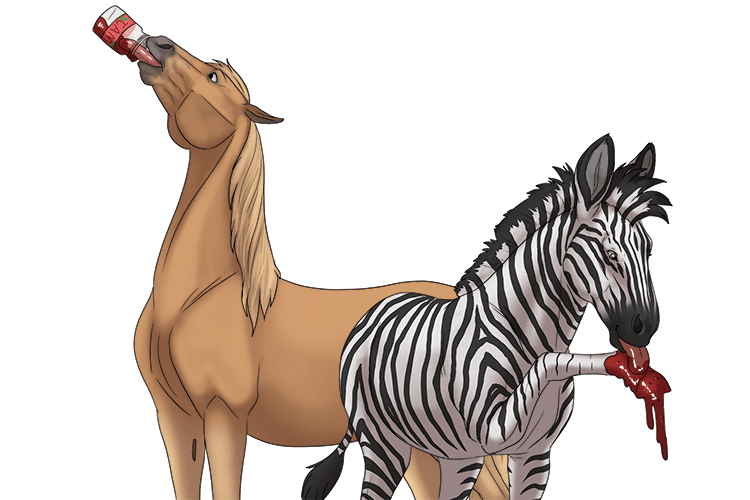 The zebra and the horse both love jam.