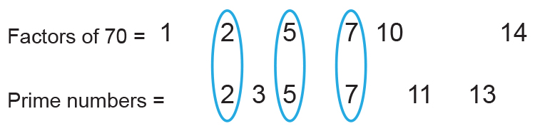 Prime Factors Are Prime Number That Multiplies Into Numbers