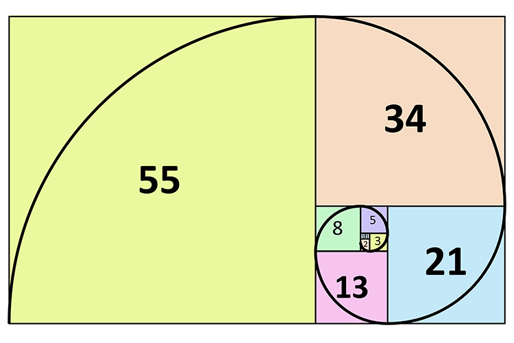 When drawn out the sequence make the Fibonacci spiral