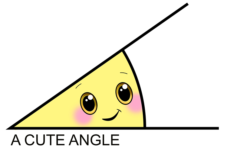 Acute angle - An angle that is less than 90 ° (a sharp angle). 