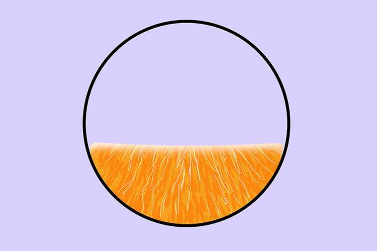 Like an orange a segment is a piece of a circle