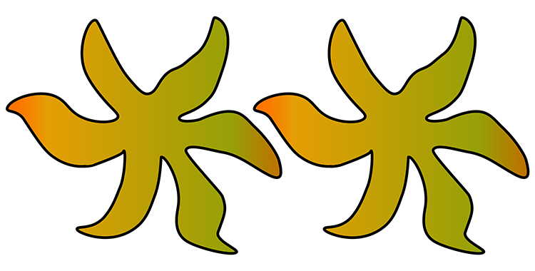 These complex shapes are the same so they are congruent
