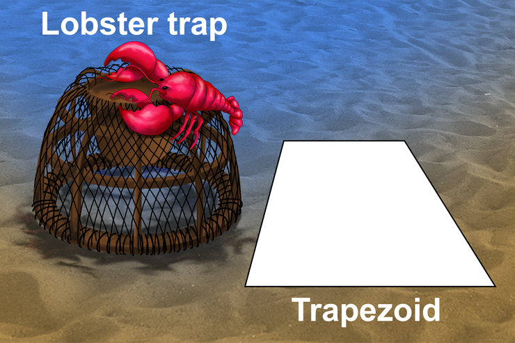 A trapezoid is the same shape as a lobster trap