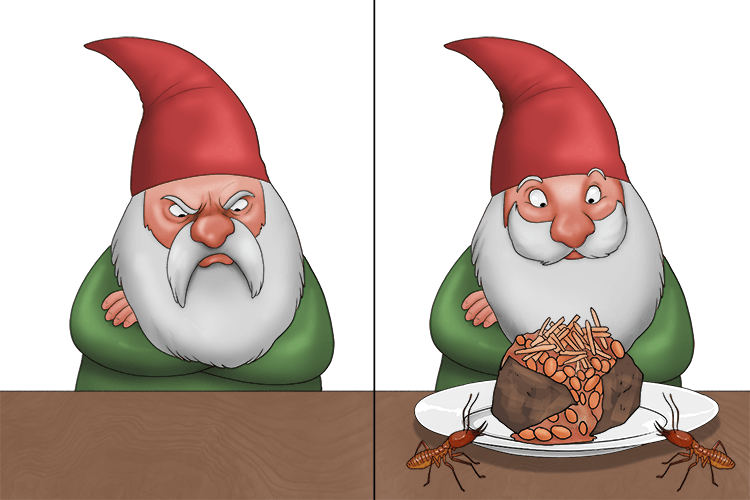 Buy a gnome a meal (binomial) from the two termites, and his expression (two term expression) will change.