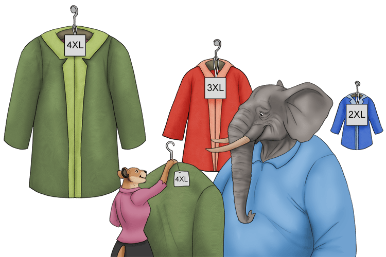 The coat sizing was efficient (coefficient), the number was used to multiply the variable.