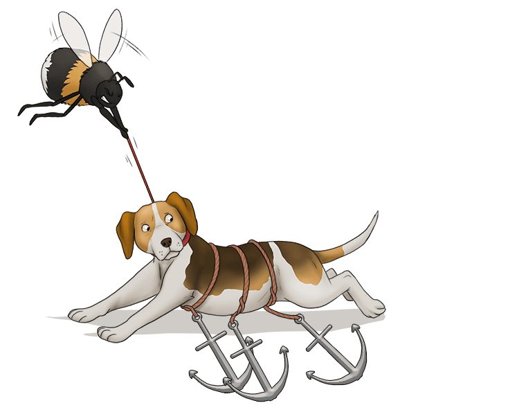 `b = 1D - 3a` The bee tried to take her one dog straight up in one direction but the dog was held down by three anchors. 