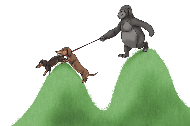 `a = (2D)/2` The ape walked her two dogs over the 2 hills.