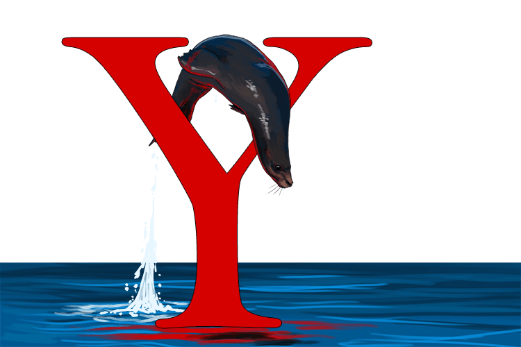 The sea lion (`c` line) jumped through the giant Y (`y` axis).