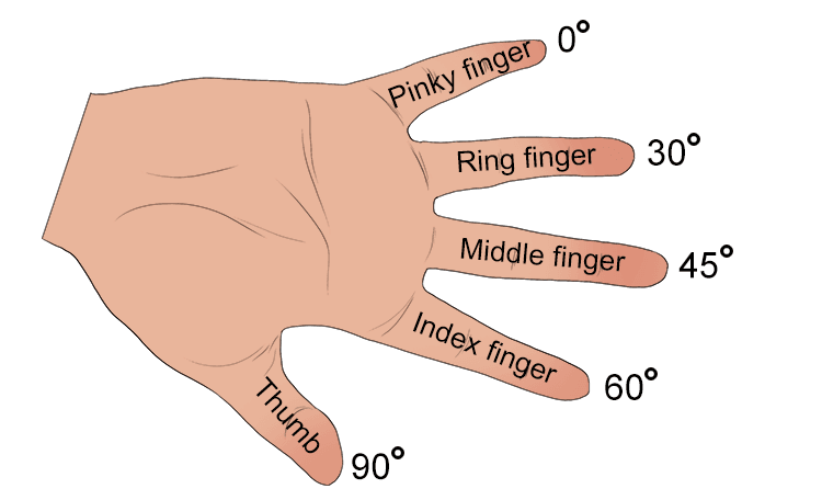 But now flip your hand upside down with your thumb pointing downwards.