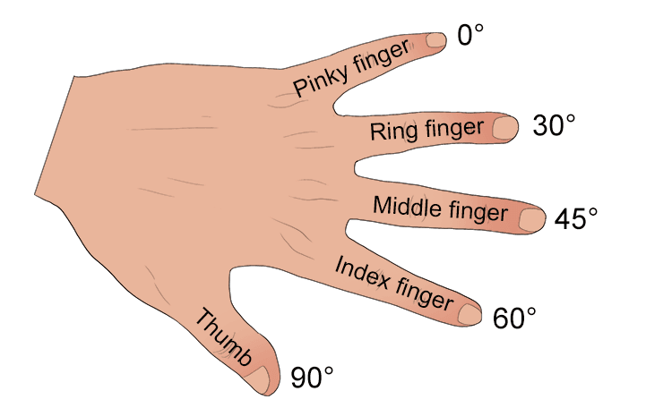 But now flip your hand upside down with your thumb pointing downwards.