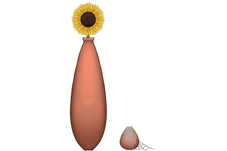 The high pot was in use (hypotenuse) because it was the longest