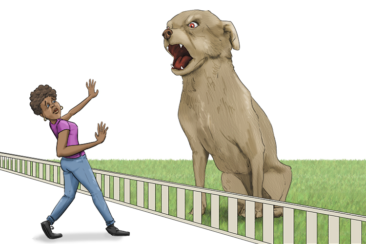 3. You carry on walking and turn right and that flipping dog in your neighbour's garden always barks at you.