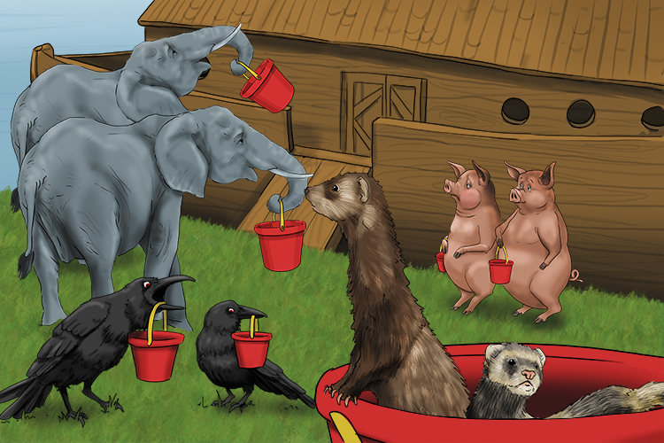 Imagine every animal entering Noah's ark is carrying a bucket in their mouth. No idea why – it's just very odd...