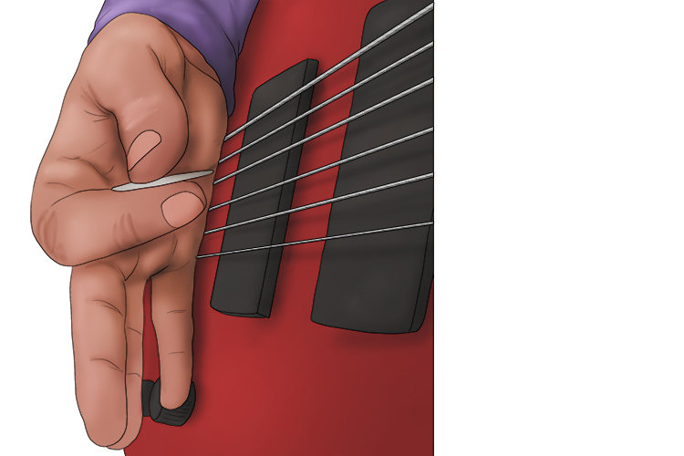 Palm muting dampens the strings, shortening the length of time that the notes ring out for. Placing your hand further away from the bridge increases the muting effect.