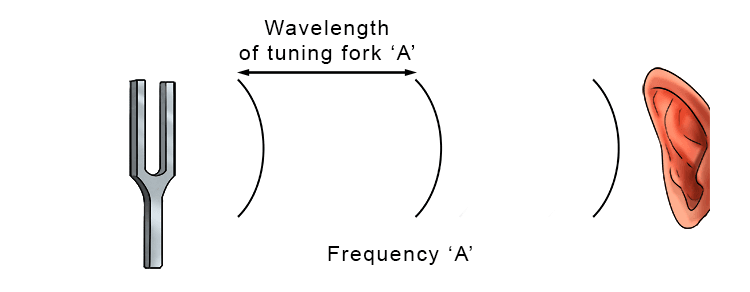 If a tuning fork omits a sound wave with a set frequency if nothing moves we will hear that frequency
