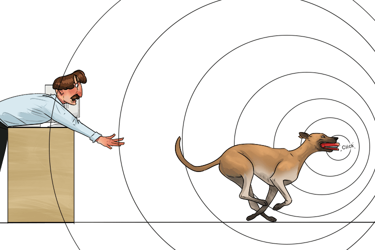 The sound of the dog's stapler (doppler effect) changed frequency as it ran back and forth (moving closer or further away)