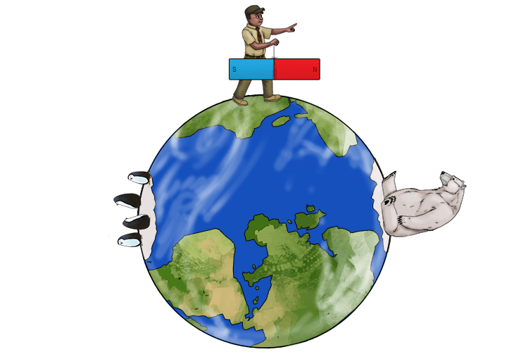 On a compass too the red end of the needle is a north pole and points to the Earths North Pole.