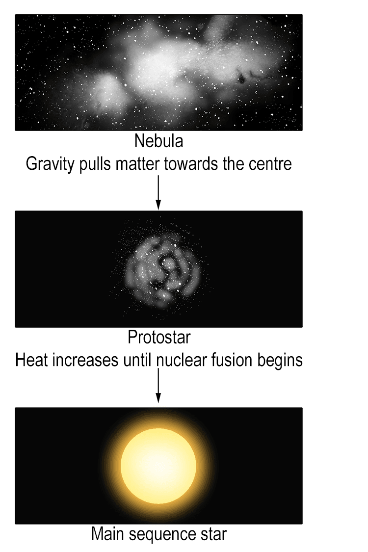  At this point, the protostar becomes a main sequence star, entering the stable phase of its life cycle where it will spend most of its existence. 