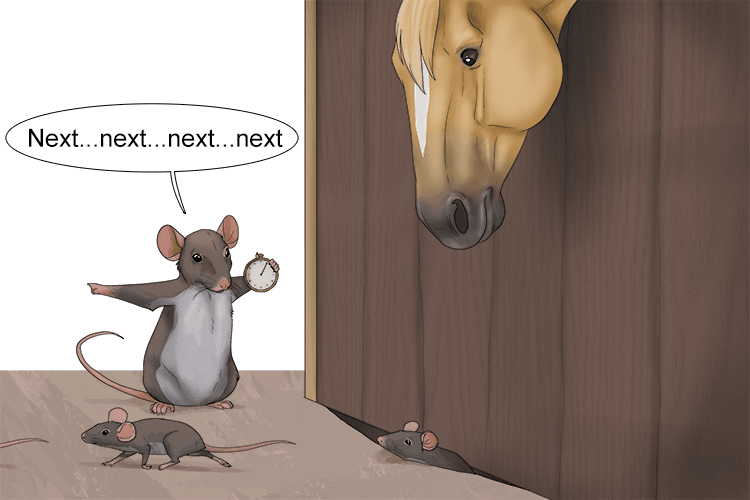 She beckoned her relatives (becquerel) out from under the stable, one every second (unstable decay every second).