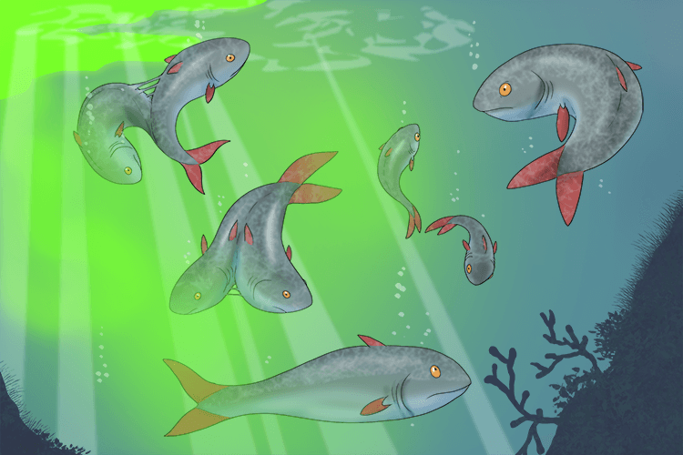 The fish in (fission) the pond by the nuclear waste each split into two smaller fish.