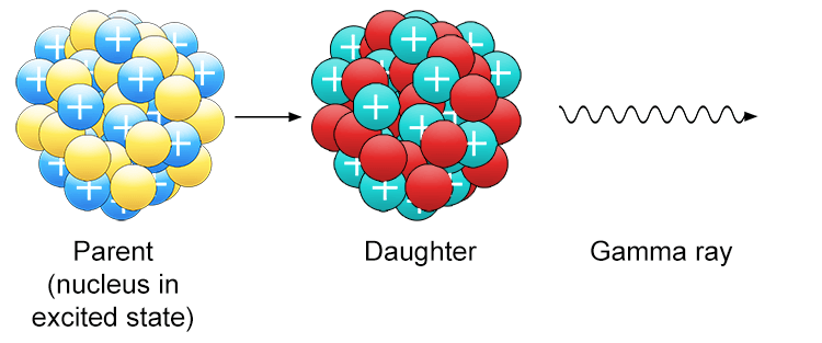 Gamma radiation is typically emitted by unstable atomic nucleus after they have undergone alpha or beta decay, as the nucleus releases energy to transition from an 'excited state' to a 'relaxed state' which is more stable.