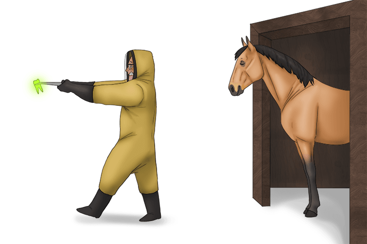 After the vet took out painful radioactive tooth with decay (radioactive decay), the horse calmed down and could go back to the stable (nucleus becomes stable). The energy filled tooth got taken away from the room (energy is emitted).