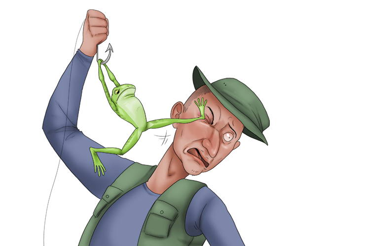 Hook (Hooke) a frog (f) and it will kick (k) you in the eye (e). (F = k e).