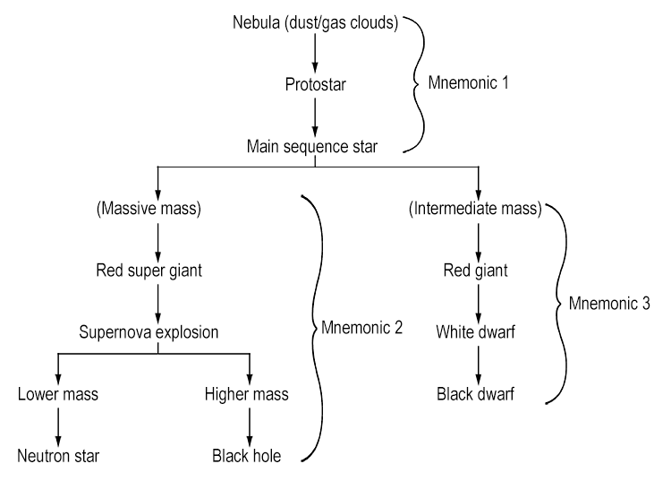 The life cycle of a star is as follows: