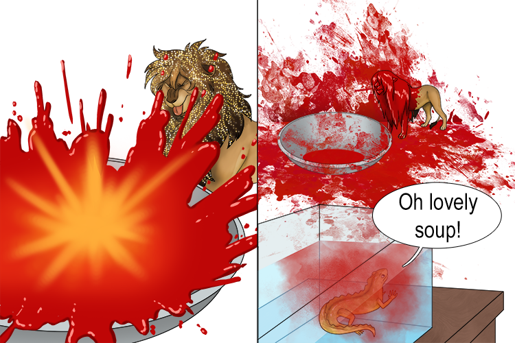 The lion goes to lick up the soup, but it explodes. Some of the soup goes into the newt tank on (neutron star) a table.
