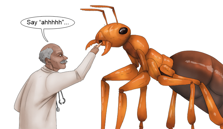 The doctor asked the ant to say "ah" (A=AH).