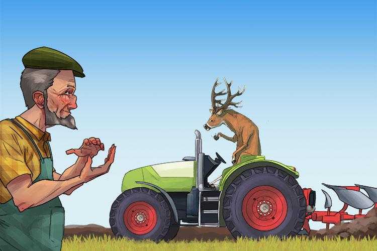 The farmer had to applaud a ploughing deer (applaudir)