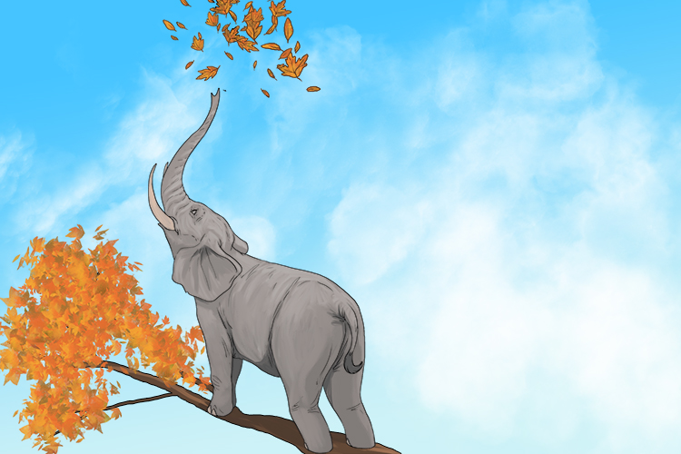 Autumn is masculine, so it's el otoño. Imagine an elephant blowing autumn leaves high up in the sky.