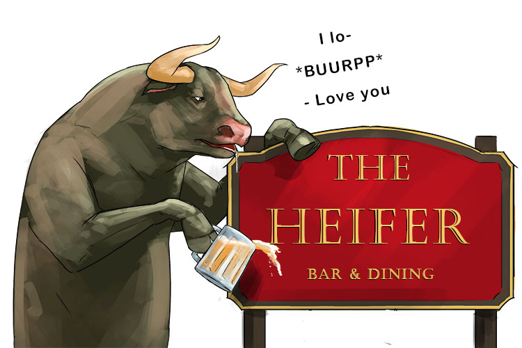 This is the bull's favourite bar (bar)