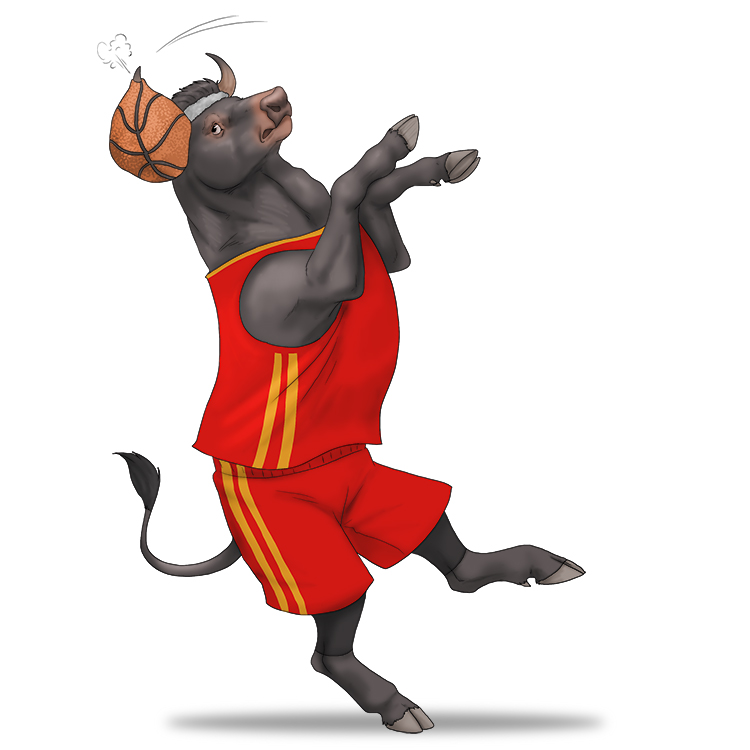 The bull was terrible at basketball (básquetbol)